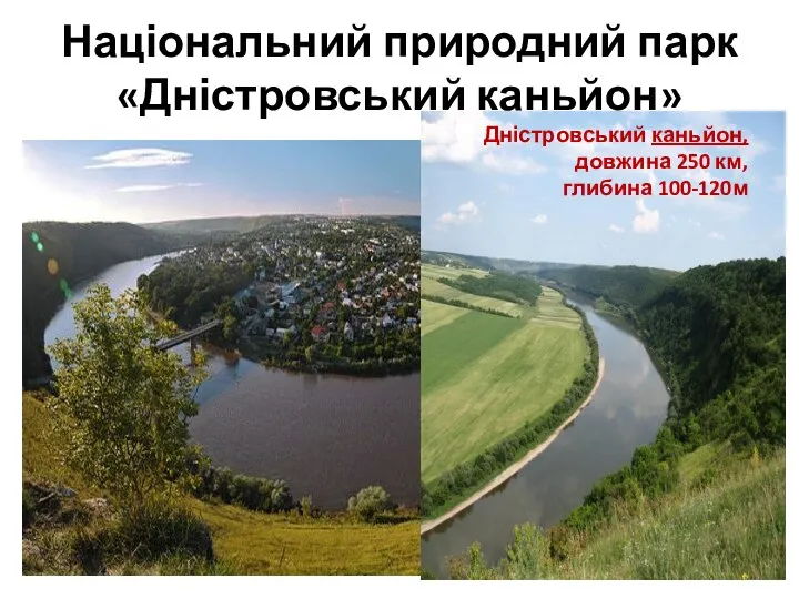 Національний природний парк «Дністровський каньйон» Дністровський каньйон, довжина 250 км, глибина 100-120м