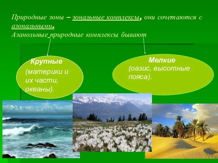 Природные зоны – зональные комплексы, они сочетаются с азональными. Азанольные природные