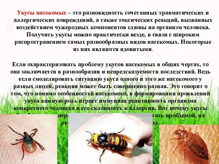 Укусы насекомых – это разновидность сочетанных травматических и аллергических повреждений, а