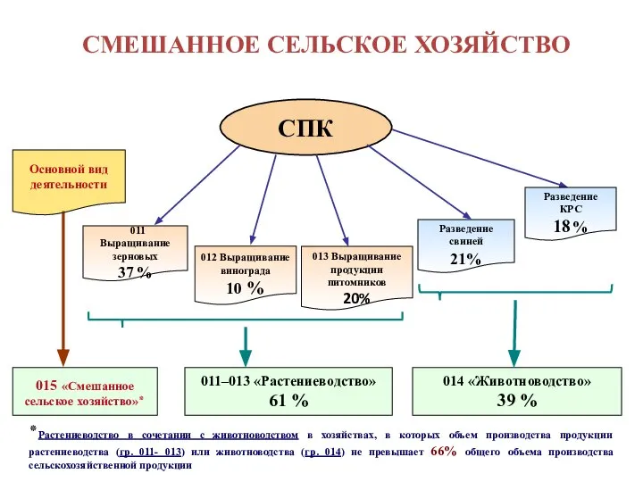 СМЕШАННОЕ СЕЛЬСКОЕ ХОЗЯЙСТВО СПК 011 Выращивание зерновых 37 % 012 Выращивание