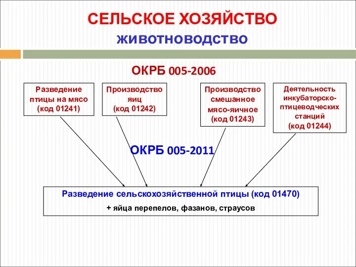 СЕЛЬСКОЕ ХОЗЯЙСТВО животноводство ОКРБ 005-2006 Разведение птицы на мясо (код 01241)