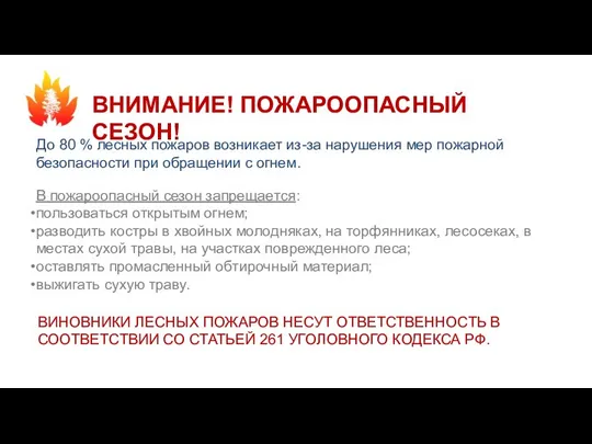 ВНИМАНИЕ! ПОЖАРООПАСНЫЙ СЕЗОН! До 80 % лесных пожаров возникает из-за нарушения