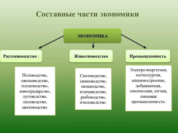 Составные части экономики ЭКОНОМИКА Растениеводство : Животноводство Промышленность Электроэнергетика, металлургия, машиностроение,