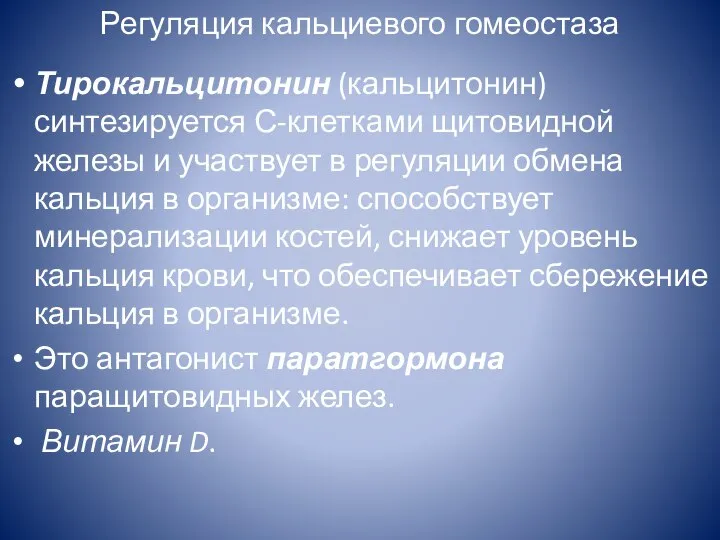 Регуляция кальциевого гомеостаза Тирокальцитонин (кальцитонин) синтезируется С-клетками щитовидной железы и участвует