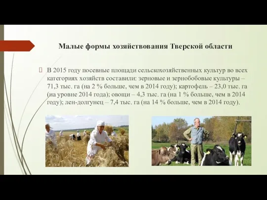 Малые формы хозяйствования Тверской области В 2015 году посевные площади сельскохозяйственных