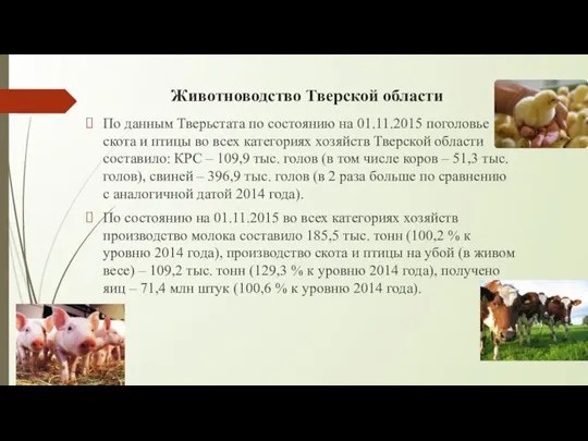 Животноводство Тверской области По данным Тверьстата по состоянию на 01.11.2015 поголовье