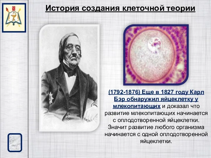 (1792-1876) Еще в 1827 году Карл Бэр обнаружил яйцеклетку у млекопитающих