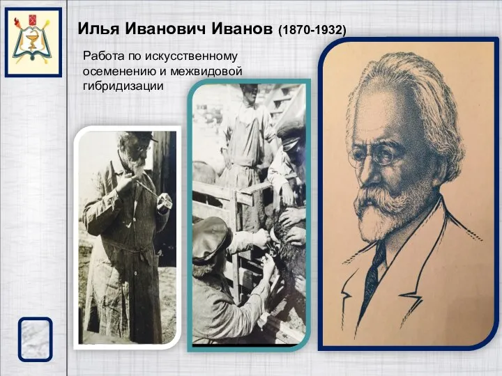 Илья Иванович Иванов (1870-1932) Работа по искусственному осеменению и межвидовой гибридизации