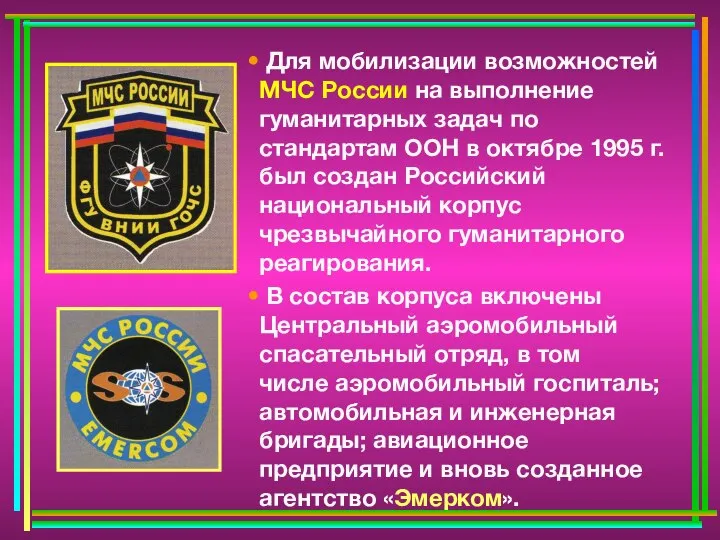 Для мобилизации возможностей МЧС России на выполнение гуманитарных задач по стандартам