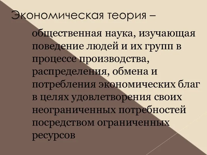 Экономическая теория – общественная наука, изучающая поведение людей и их групп