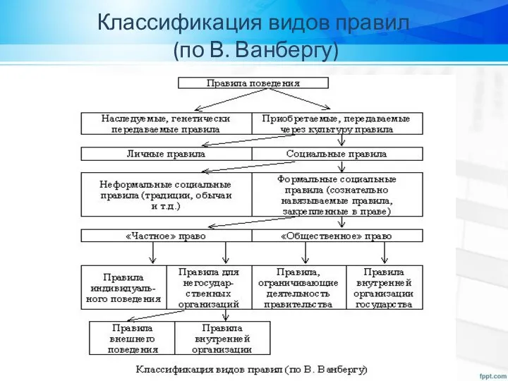 Классификация видов правил (по В. Ванбергу)