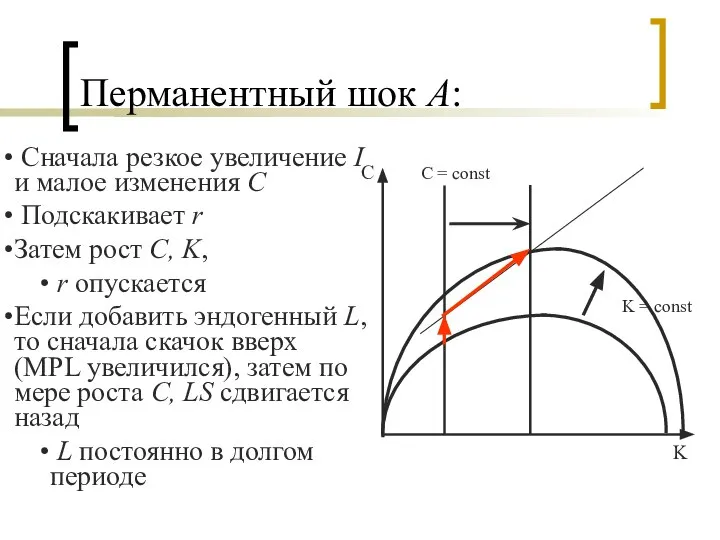 Перманентный шок А: С K С = const K = const