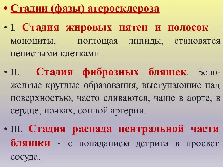 Стадии (фазы) атеросклероза I. Стадия жировых пятен и полосок - моноциты,