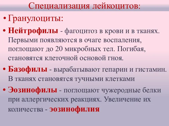 Специализация лейкоцитов: Гранулоциты: Нейтрофилы - фагоцитоз в крови и в тканях.