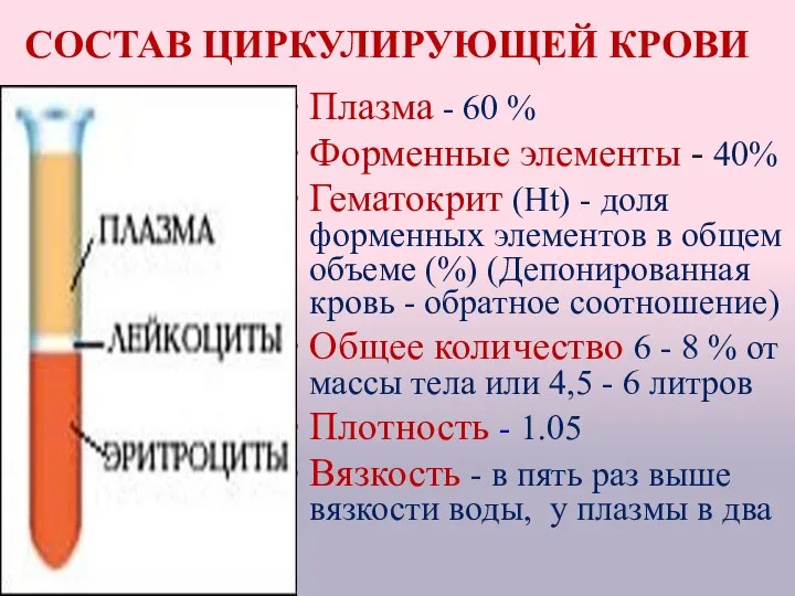 СОСТАВ ЦИРКУЛИРУЮЩЕЙ КРОВИ Плазма - 60 % Форменные элементы - 40%