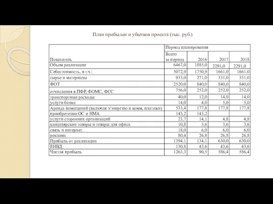 План прибылен и убытков проекта (тыс. руб.)