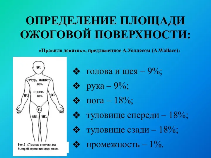 ОПРЕДЕЛЕНИЕ ПЛОЩАДИ ОЖОГОВОЙ ПОВЕРХНОСТИ: «Правило девяток», предложенное А.Уоллесом (А.Wallace): голова и