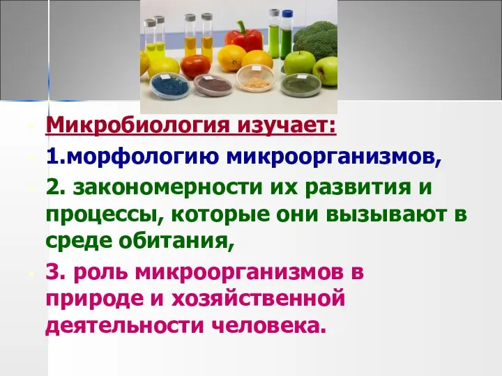 Микробиология изучает: 1.морфологию микроорганизмов, 2. закономерности их развития и процессы, которые