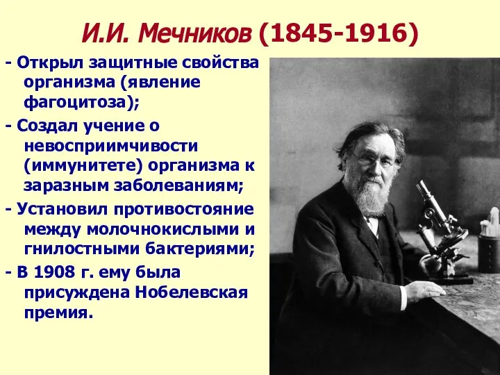 И.И. Мечников (1845-1916) - Открыл защитные свойства организма (явление фагоцитоза); -