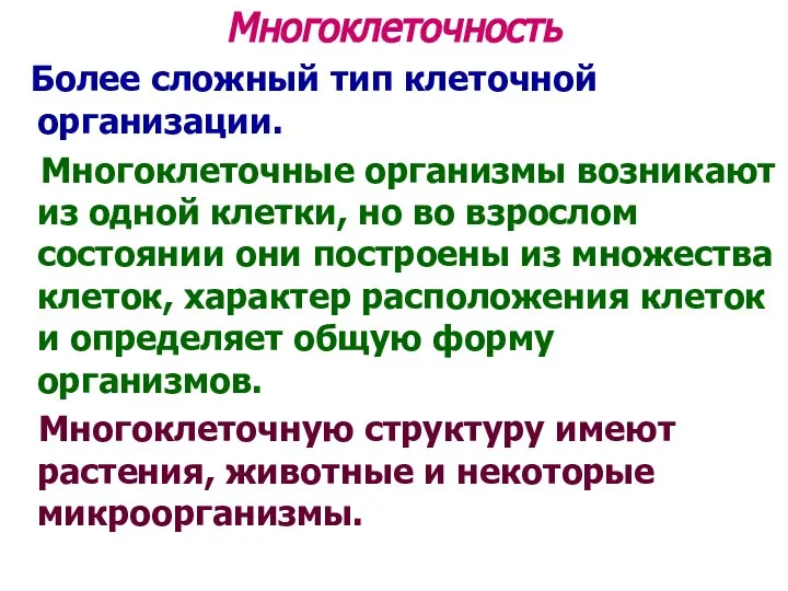 Многоклеточность Более сложный тип клеточной организации. Многоклеточные организмы возникают из одной