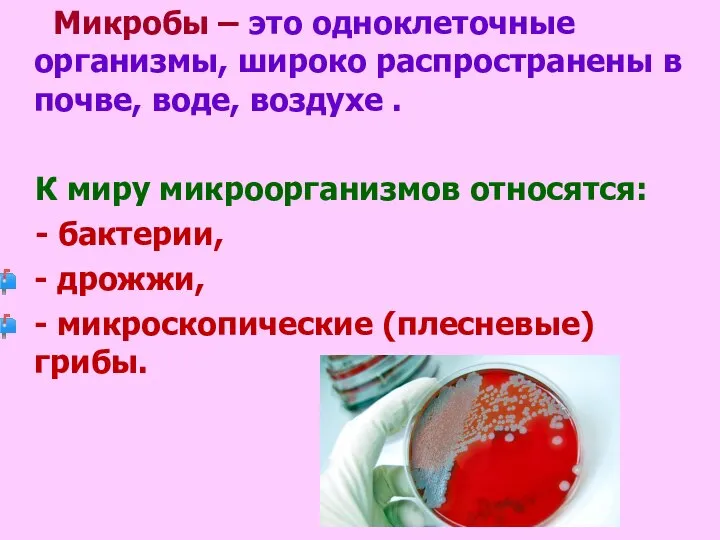 Микробы – это одноклеточные организмы, широко распространены в почве, воде, воздухе