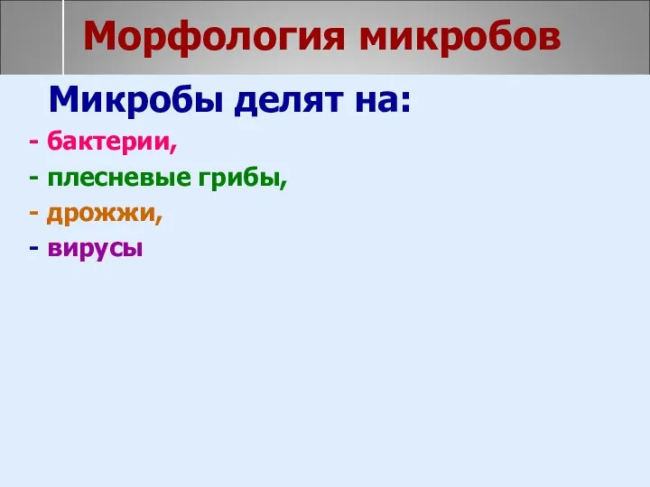 Морфология микробов Микробы делят на: - бактерии, - плесневые грибы, - дрожжи, - вирусы