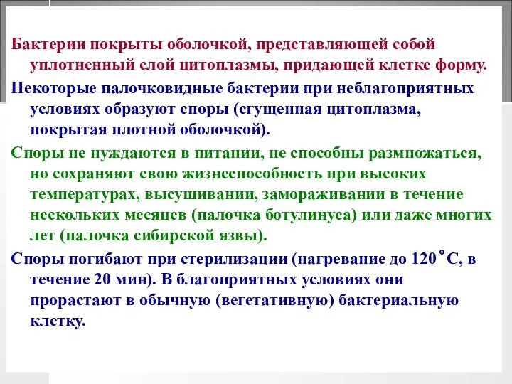 Бактерии покрыты оболочкой, представляющей собой уплотненный слой цитоплазмы, придающей клетке форму.