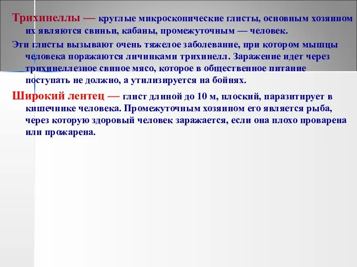 Трихинеллы — круглые микроскопические глисты, основным хозяином их являются свиньи, кабаны,