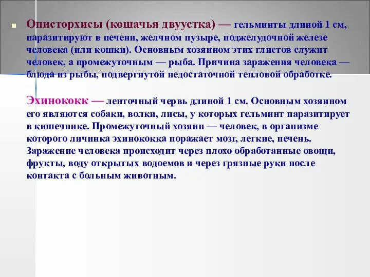 Описторхисы (кошачья двуустка) — гельминты длиной 1 см, паразитируют в печени,