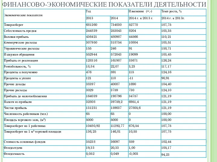 ФИНАНСОВО-ЭКОНОМИЧЕСКИЕ ПОКАЗАТЕЛИ ДЕЯТЕЛЬНОСТИ