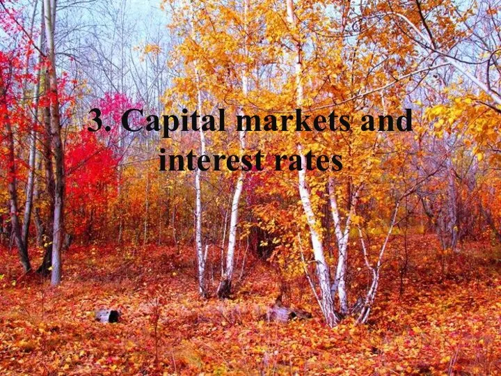 3. Capital markets and interest rates