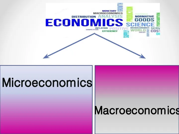 Microeconomics Macroeconomics