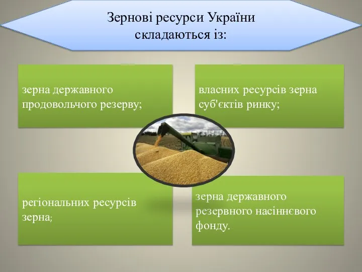 Зернові ресурси України складаються із: зерна державного продовольчого резерву; зерна державного