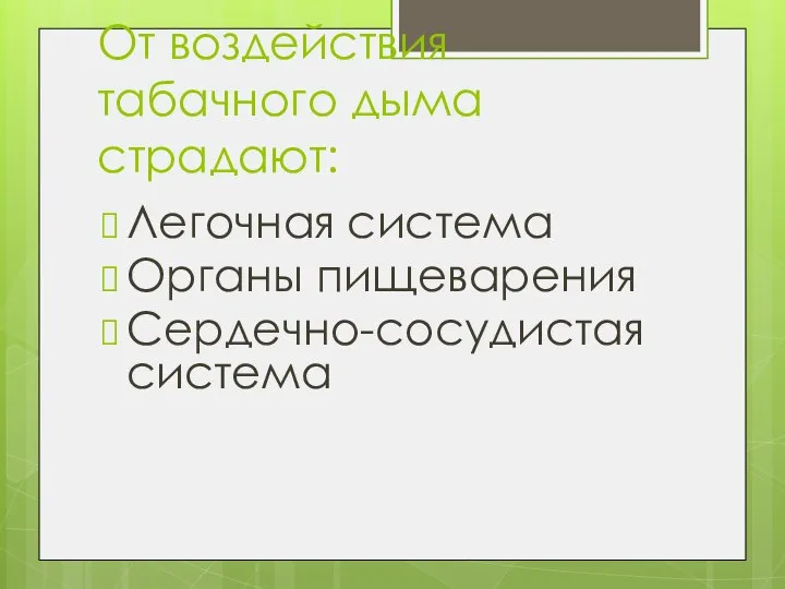 От воздействия табачного дыма страдают: Легочная система Органы пищеварения Сердечно-сосудистая система