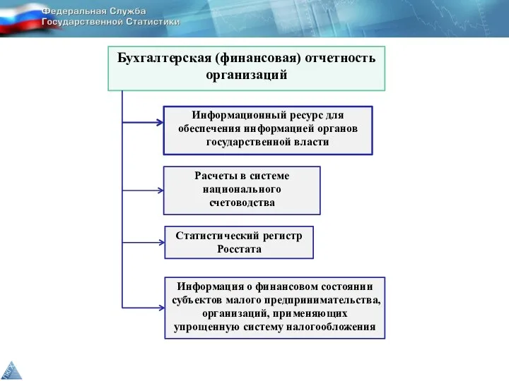 Бухгалтерская (финансовая) отчетность организаций Информационный ресурс для обеспечения информацией органов государственной