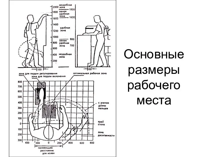 Основные размеры рабочего места