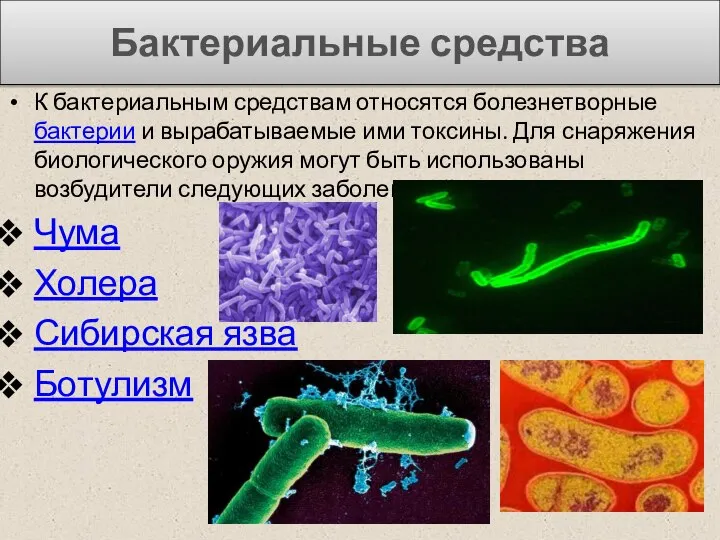 Бактериальные средства К бактериальным средствам относятся болезнетворные бактерии и вырабатываемые ими