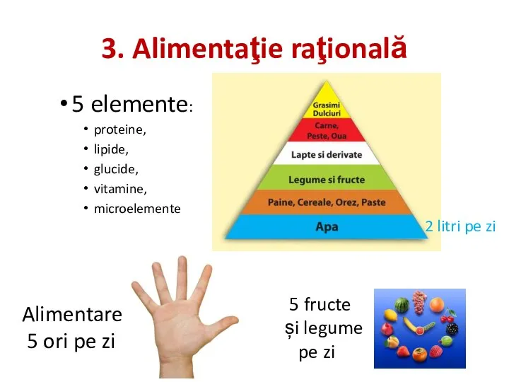 3. Alimentaţie raţională 5 elemente: proteine, lipide, glucide, vitamine, microelemente 2