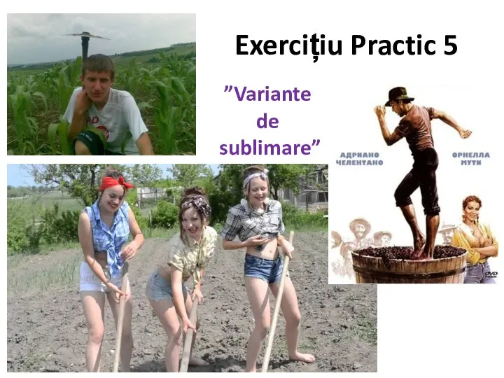 Exercițiu Practic 5 ” ”Variante de sublimare”