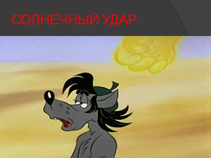 СОЛНЕЧНЫЙ УДАР