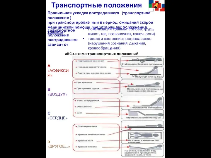 Транспортные положения Правильная укладка пострадавшего (транспортное положение ) при транспортировке или