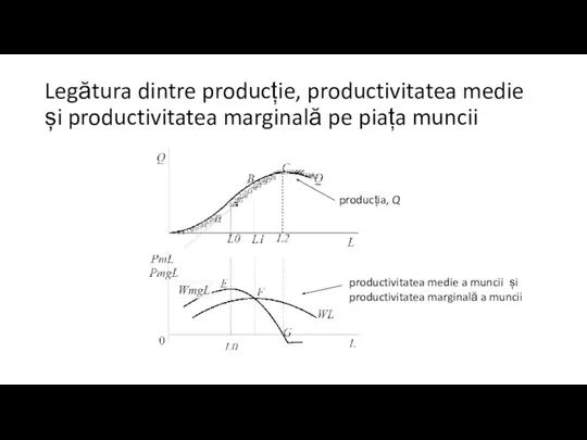 Legătura dintre producție, productivitatea medie și productivitatea marginală pe piața muncii