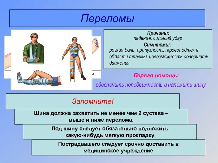 Переломы Запомните! падение, сильный удар Причины: Симптомы: резкая боль, припухлость, кровоподтек