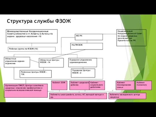 Структура службы ФЗОЖ Кабинет социального работника