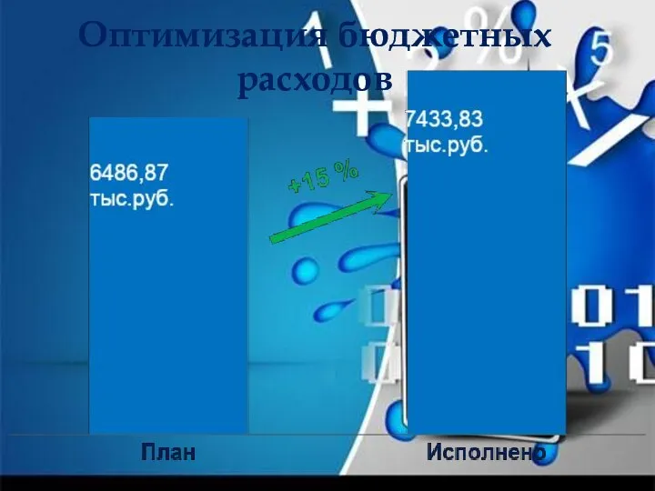 Оптимизация бюджетных расходов