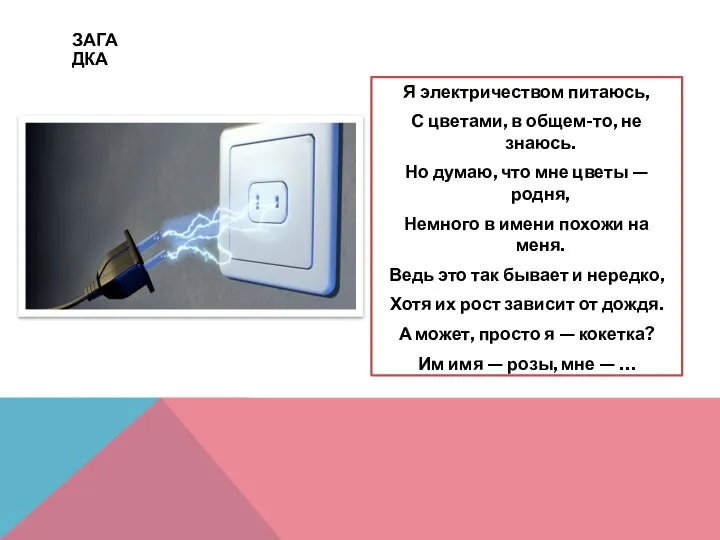 ЗАГАДКА Я электричеством питаюсь, С цветами, в общем-то, не знаюсь. Но