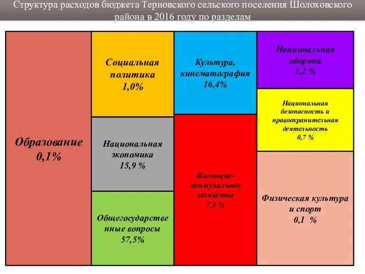 Структура расходов бюджета Терновского сельского поселения Шолоховского района в 2016 году