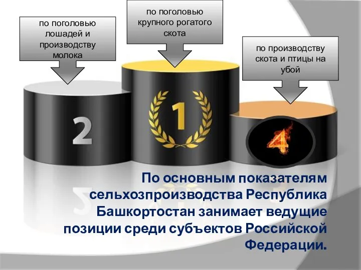 По основным показателям сельхозпроизводства Республика Башкортостан занимает ведущие позиции среди субъектов