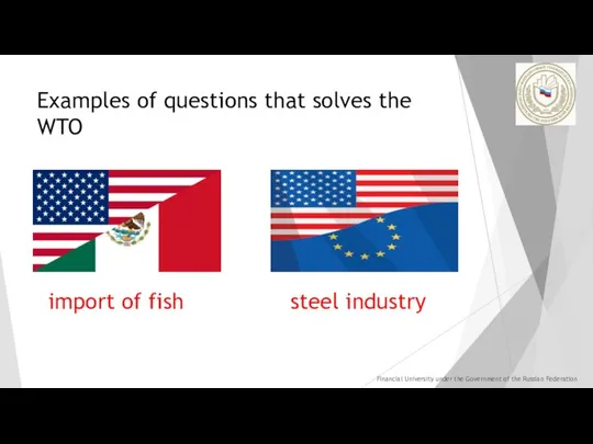 Examples of questions that solves the WTO import of fish steel