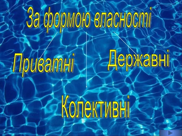 За формою власності Приватні Державні Колективні